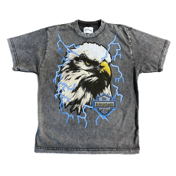 God’s Kingdom “Isaiah 40” Eagle Tee