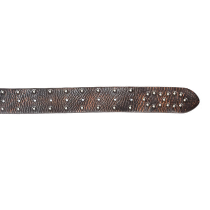“The Belt of Truth” God’s Kingdom Studded Leather Belt [Aged Brown]