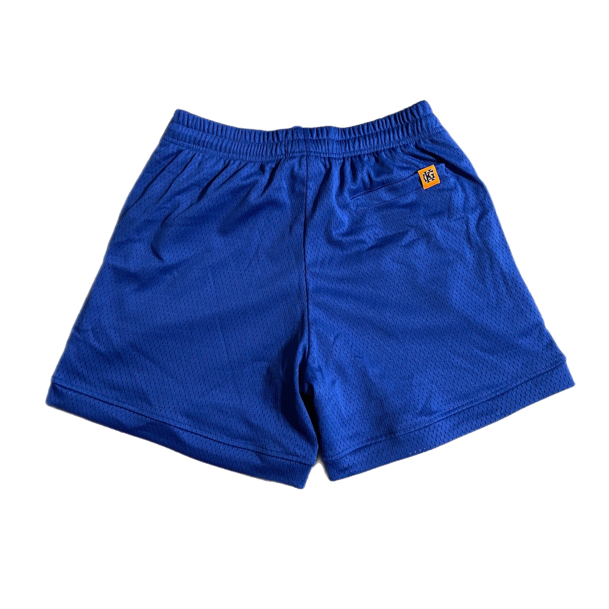 Mesh Shorts (Ocean Blue)